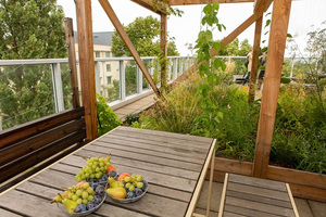 © Christian Houdek / PID - Der PV-Dachgarten ist zusätzlicher Raum für die Gebäudenutzer
